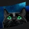 Black Cat Universe - Women's T-shirt -Vintage Veil Clothing Store 4 721443eb debe 4cb4 820f ca16b09b1a5b