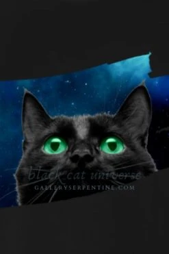 Black Cat Universe - Women's T-shirt
