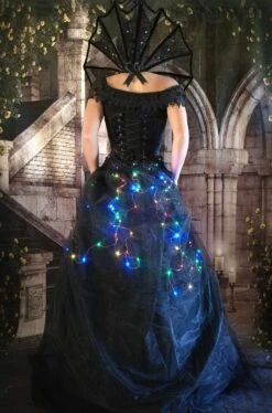 Coloured Lights Dark Fairytale Skirt -Vintage Veil Clothing Store colour FL back 2collar
