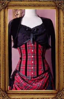 Victorian Punk Red Tartan Under Bust Corset
