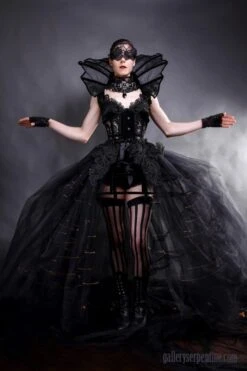 Dark Fairy Tale Corset Gown, Size XS-S -Vintage Veil Clothing Store wm dark fairy tale 800x1200